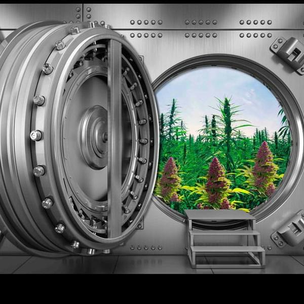 The Mint Dispensary - Mesa Thumbnail Image