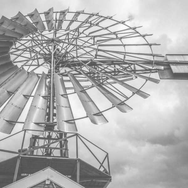 Harvest of Cottonwood Thumbnail Image