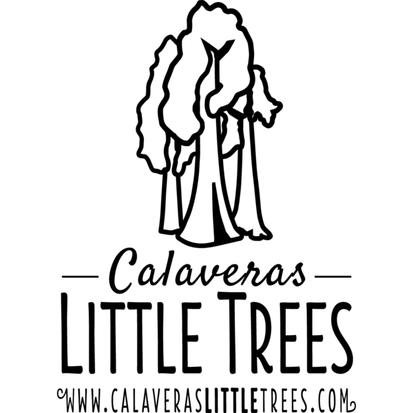 Calaveras Little Trees Thumbnail Image