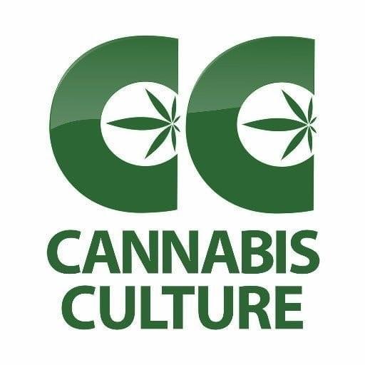Cannabis Culture Thumbnail Image