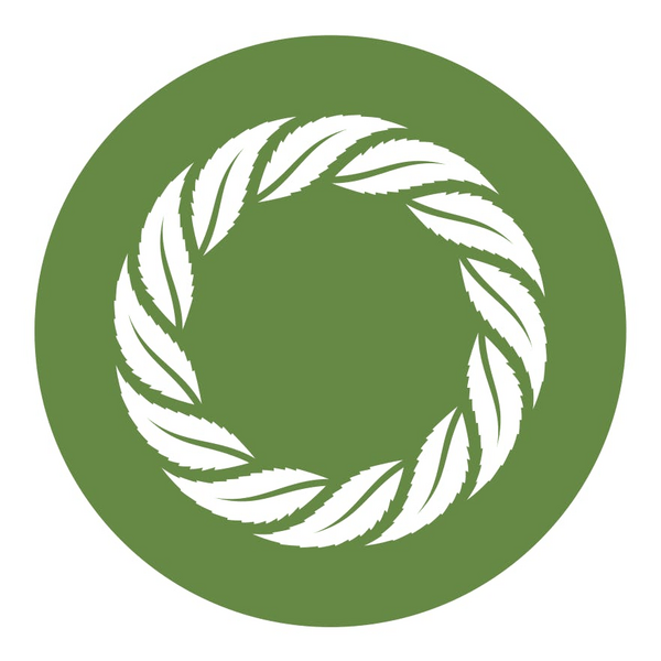 Neurology of Cannabis Thumbnail Image