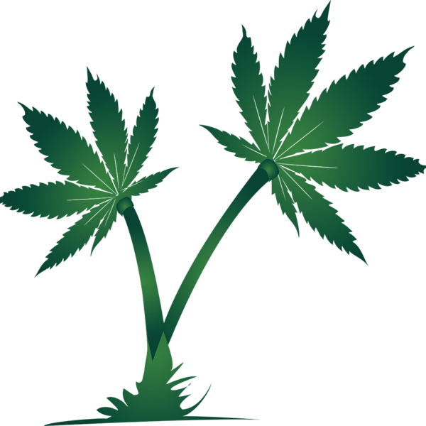 Oasis Healing Center Thumbnail Image