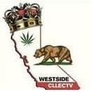 WESTSiDE CLLCTV Thumbnail Image
