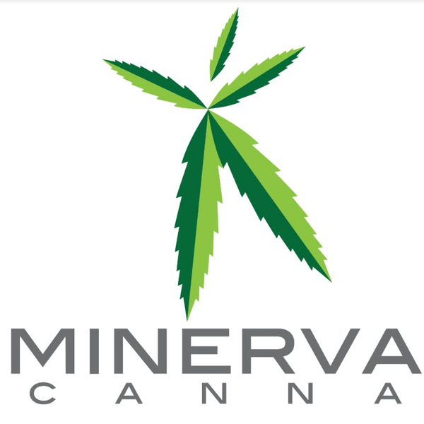 Minerva Canna Thumbnail Image