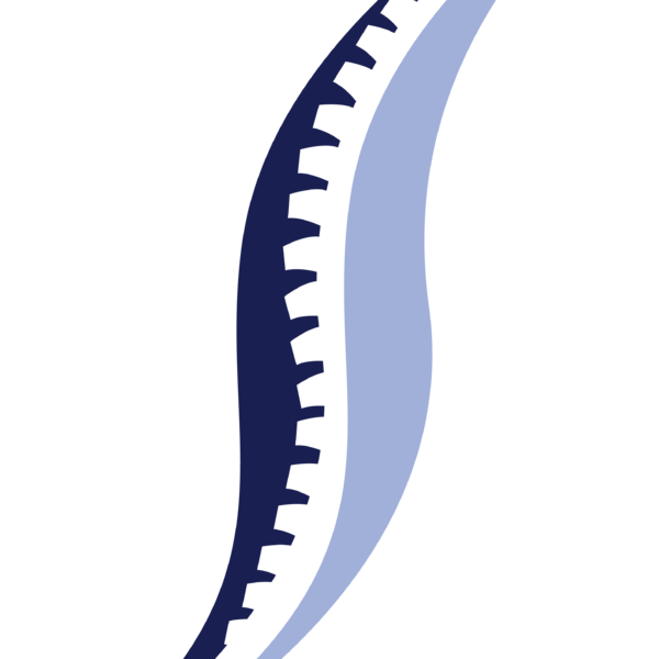 North American Spine & Pain - Somer's Point Thumbnail Image