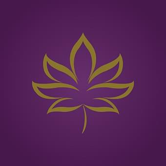 DC Holistic Wellness Thumbnail Image