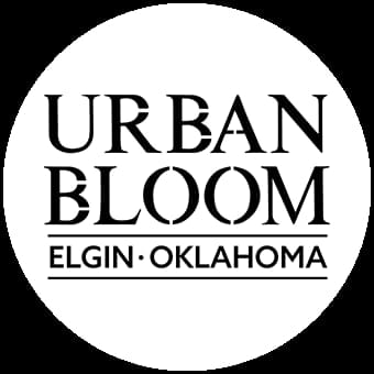 Urban Bloom Thumbnail Image