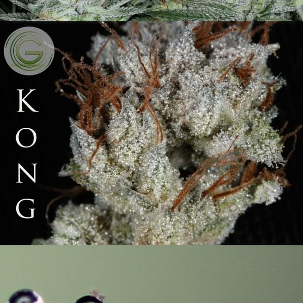 Allgreens Thumbnail Image