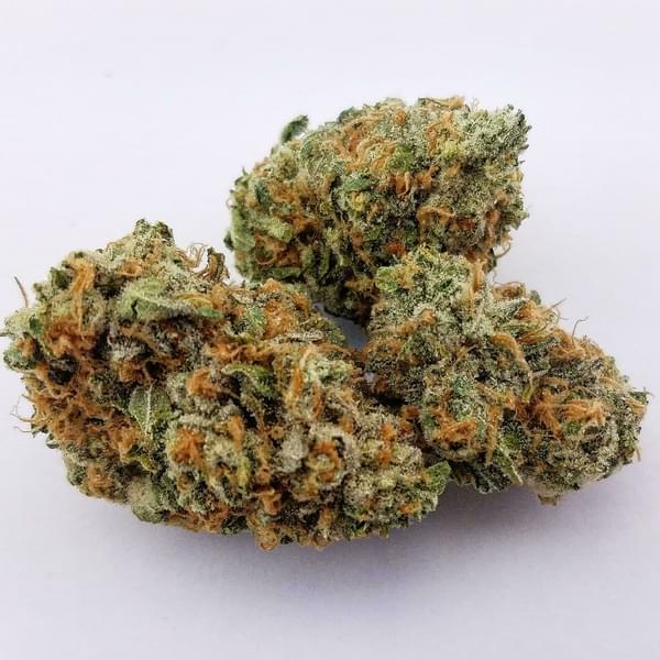 WWLT5 Thumbnail Image