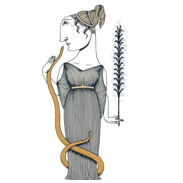 Panacea Wellness - Middleborough Thumbnail Image