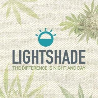 Lightshade Holly Thumbnail Image