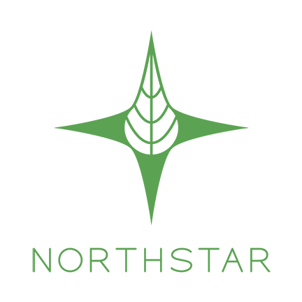 Northstar Thumbnail Image