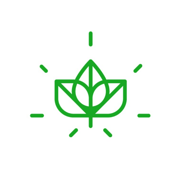 Aloha Green Apothecary Waikiki Thumbnail Image