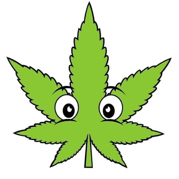 Buddies Cannabis Co. - Moore Thumbnail Image