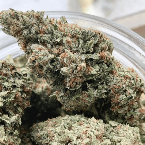 Harvest House Thumbnail Image