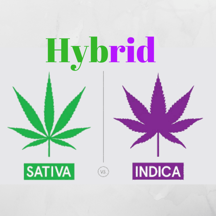 Hybrid (1).png