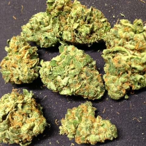 HeadBand KUSH