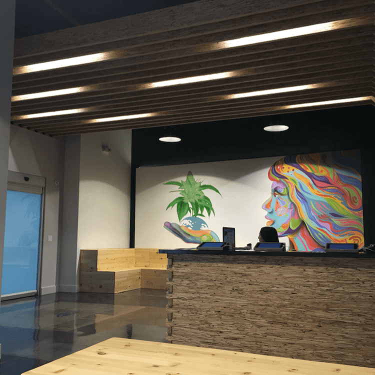 Custom Mural and Receptionist/Check-in area