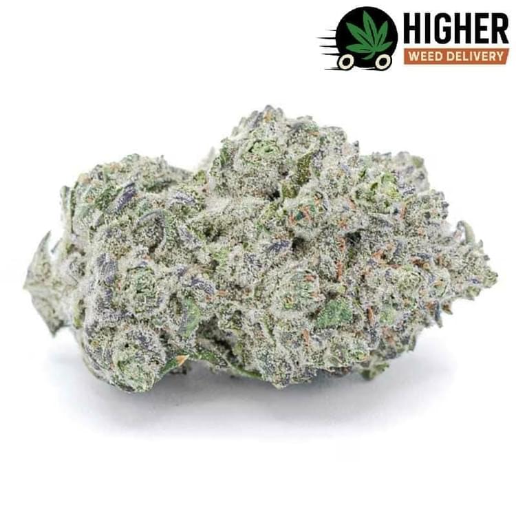 Super Frosty Bud Delivery Orange County