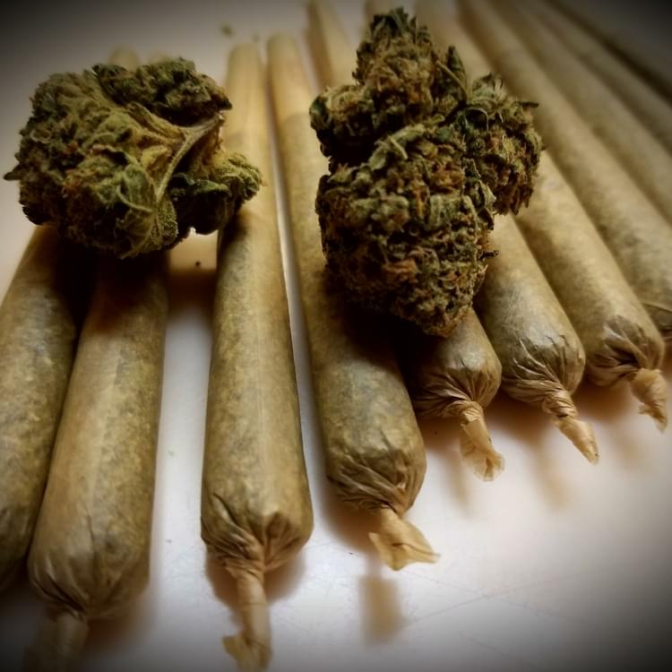 Berry White Pre Rolls and Sunset Sherbet Nugs