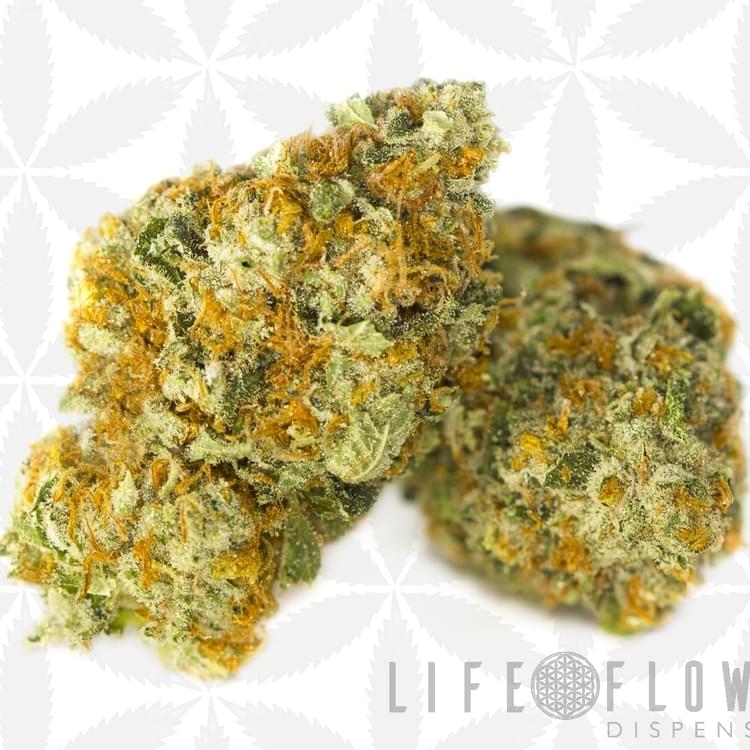 CitrusSap#5post (1).jpg