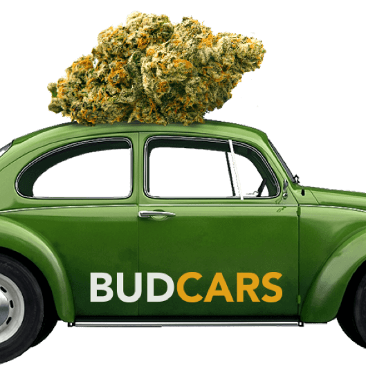 BudCar-2.png
