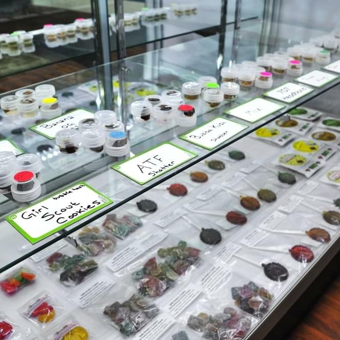 Concentrates and Edibles Case