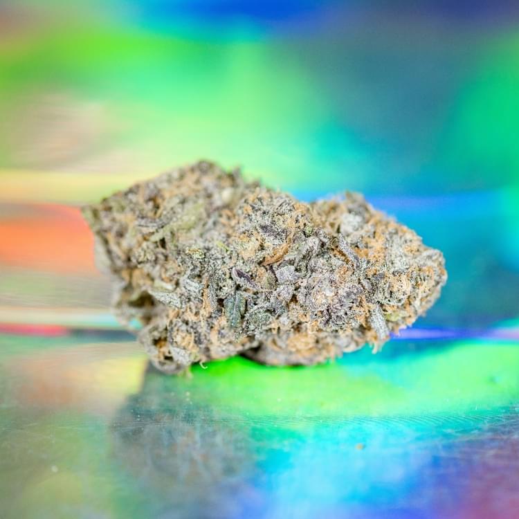 grapepie (1 of 1).jpg