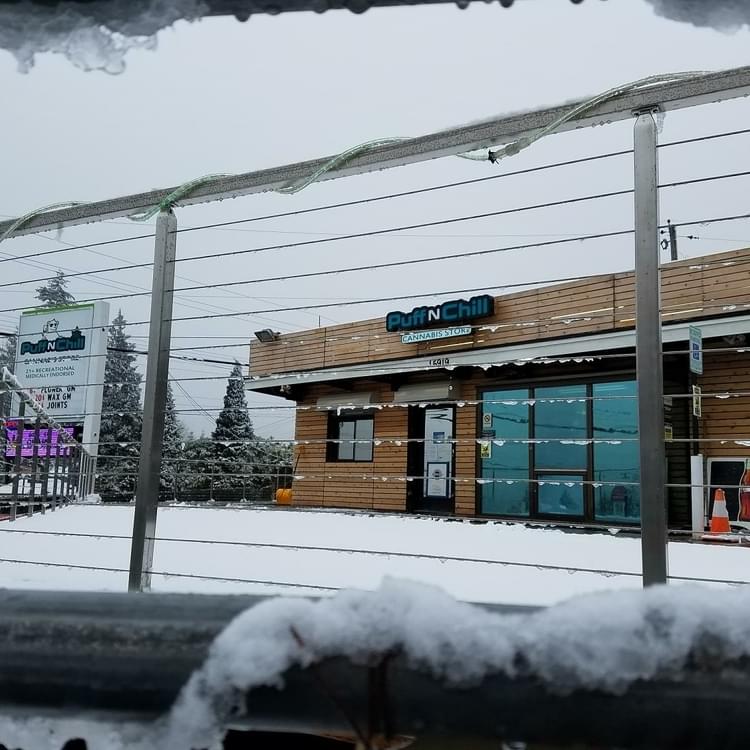 puff n chilly willy.jpg