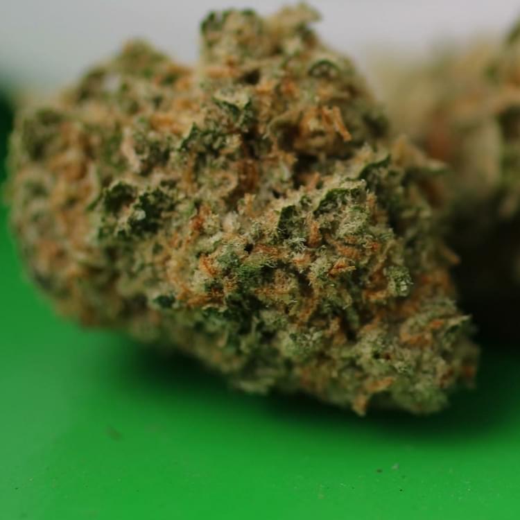 northwest coffee.JPG