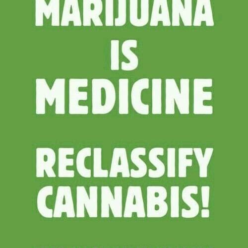 cannabis is medicine.jpg