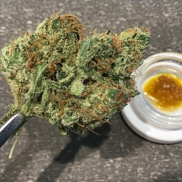 Space Goat flower with Space Goat Live Resin