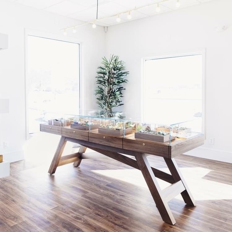 The Botanist Medical Cannabis Dispensary Marijuana Middletown NY Upstate New York State Legal Weed