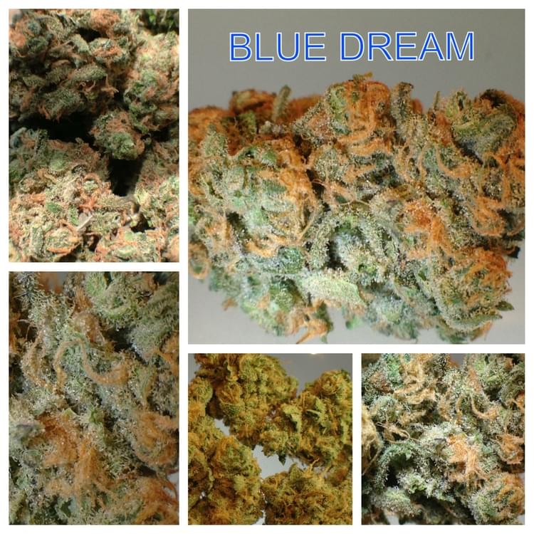 Blue Dream
