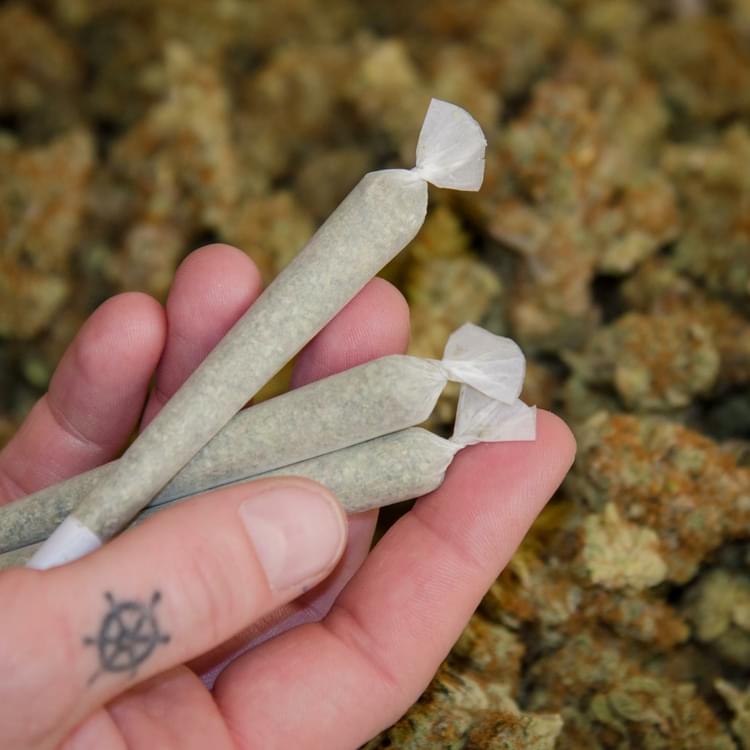 Pre-rolls are always filled with whole flower that we grind in-house.