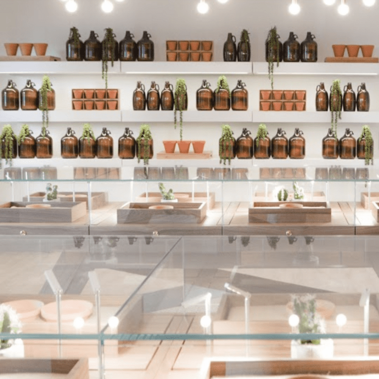 The Botanist Medical Cannabis Dispensary Long Island Farmingdale NY Marijuana Legal Weed Nassau County