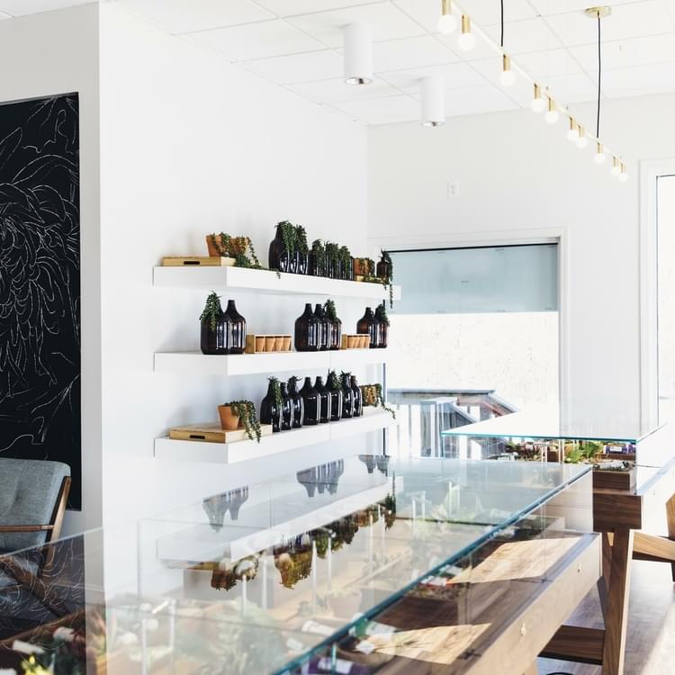 The Botanist Medical Cannabis Dispensary Marijuana Middletown NY Upstate New York State Legal Weed