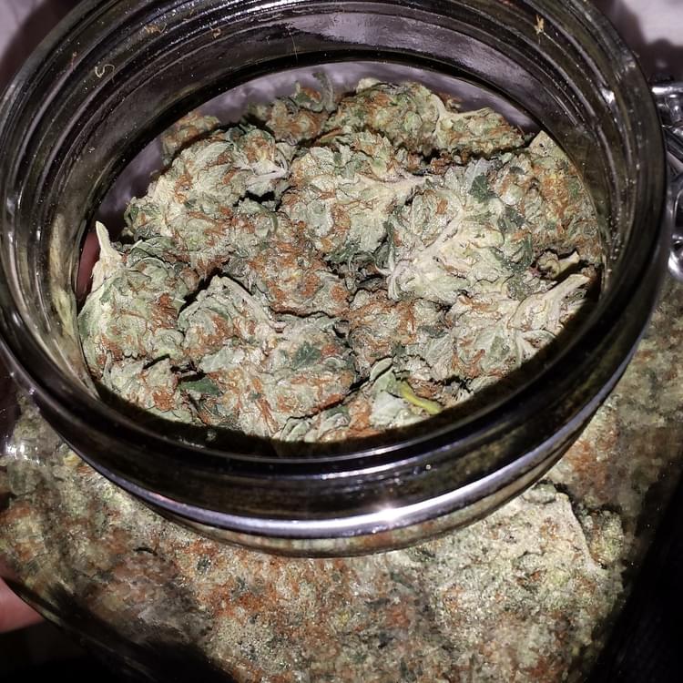 Sour Blueberry Jar