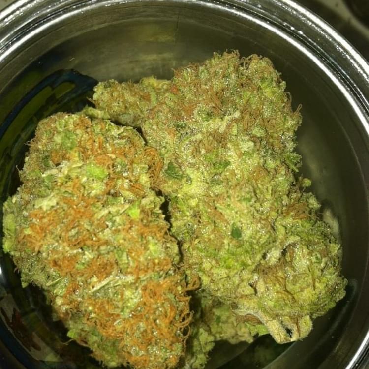 Girl Scout Cookies