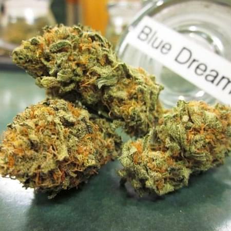 Blue Dream STrain