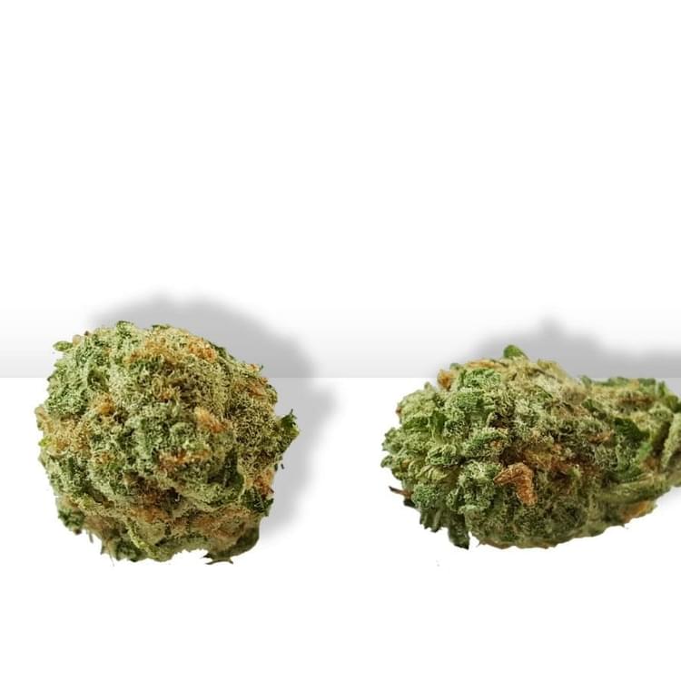 Mendo Chocolate Cookies.jpg