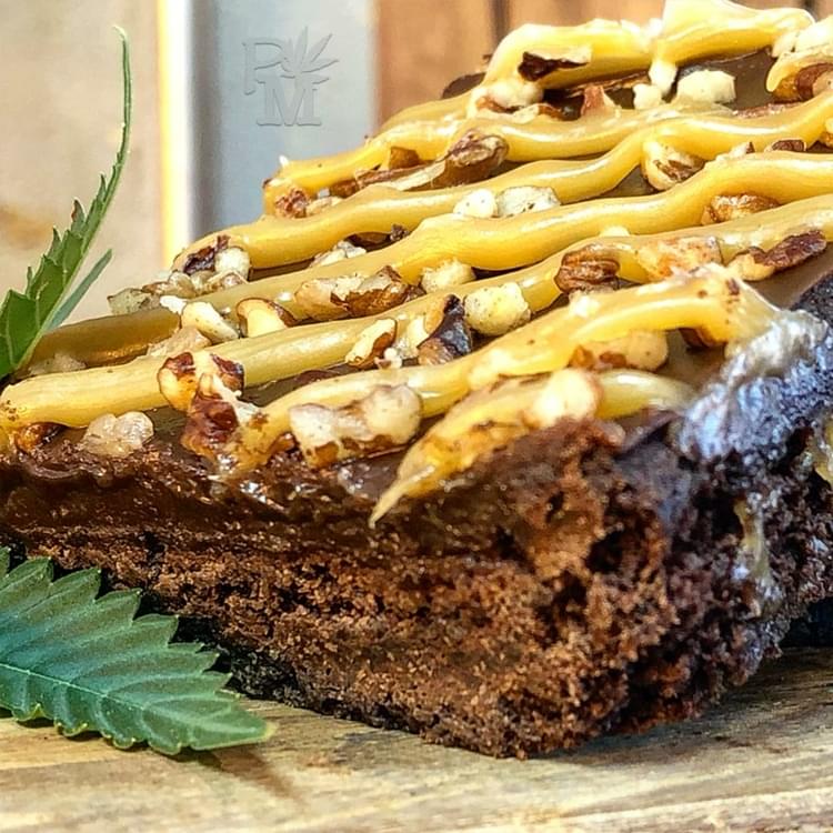 turtle brownie insta.jpg