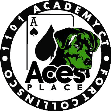 Ace's Corrected LogoFINAL.png