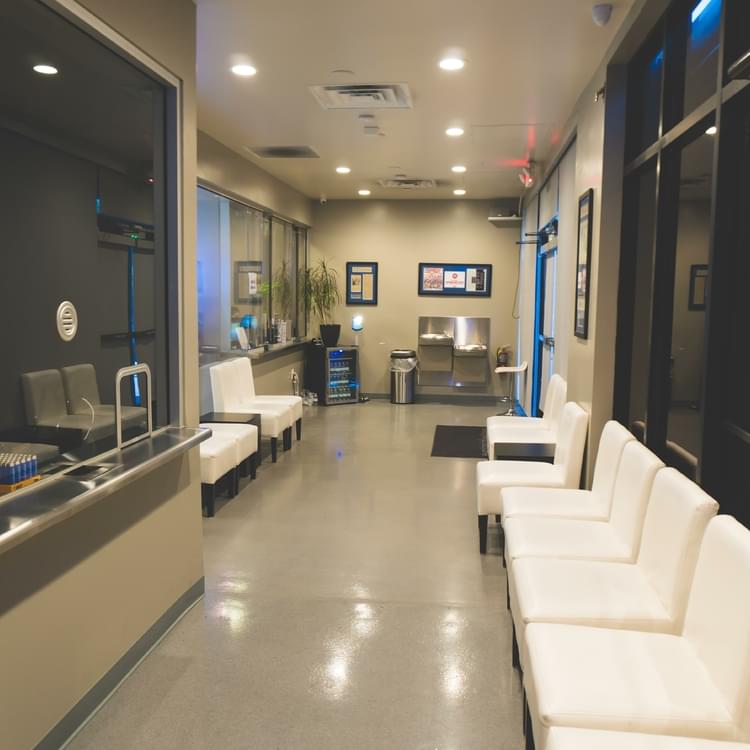 euphoria2 (1 of 1).jpg