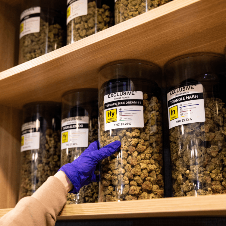 Exclusive Grand Rapids 03 RESIZED.png