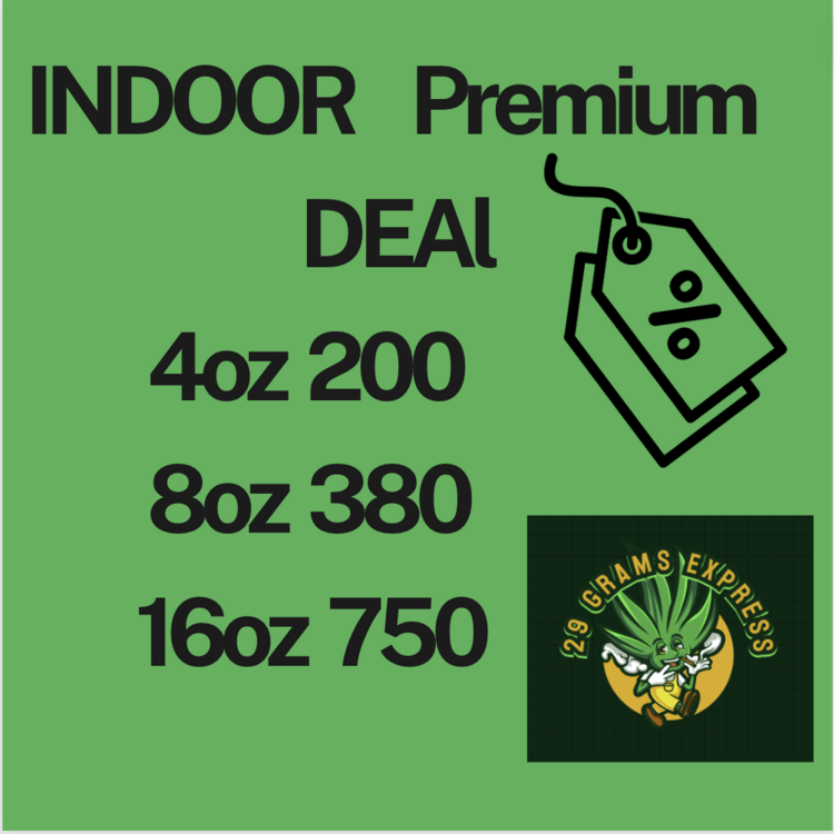 Screen Shot 2024-02-28 at 9.37.43 AM.png