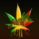 Higher Vybz DC Marijuana Delivery