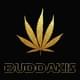 Buddakis