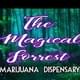 The Magical Forrest Medical Marijuana DispensaryThumbnail Image