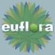 Euflora 3D Cannabis CenterThumbnail Image